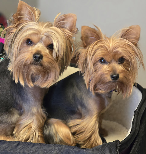 Photo from customer review