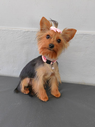 Photo from customer review