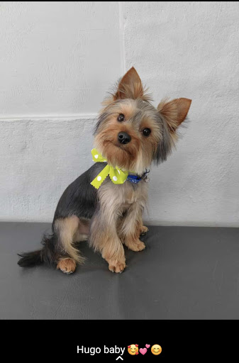 Photo from customer review