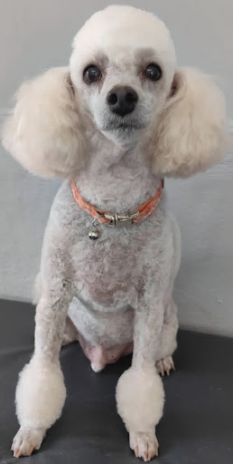 Photo from customer review