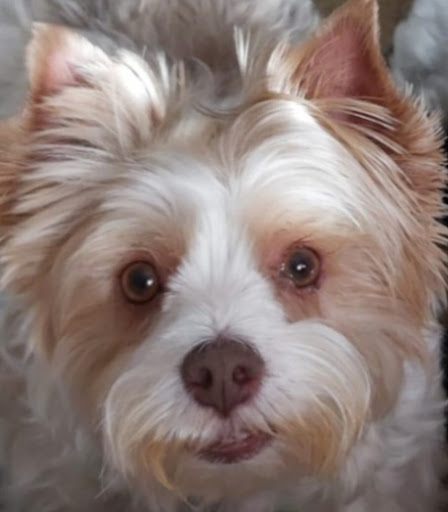 Photo from customer review